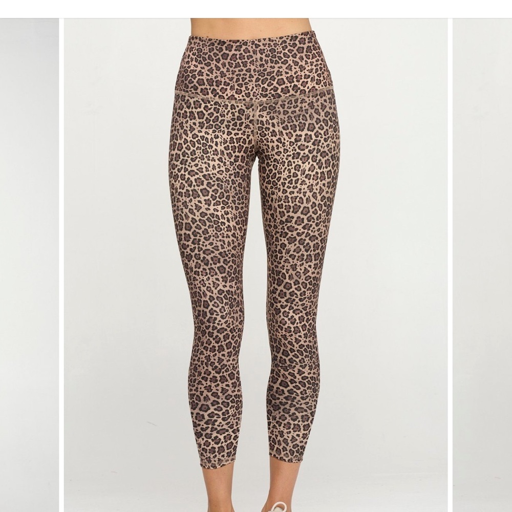 EVOLUTION and CREATION- MIA legging